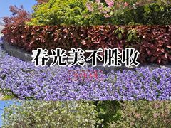 -杨高南路(地铁站)