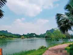 -南宁花花大世界景区