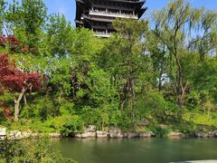 -济南大明湖景区