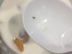 -合德记顺德双皮奶(江南西店)