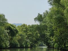 -西溪国家湿地公园