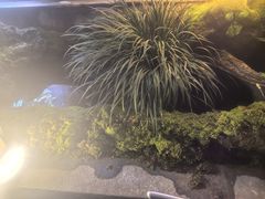 -丽江玉水寨