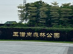 -王借岗森林公园