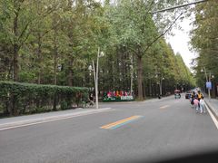 -日照海滨国家森林公园