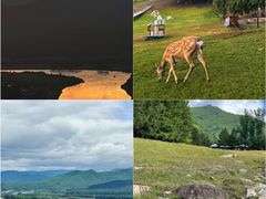 -五营红松林海景区