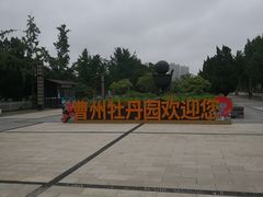 -曹州牡丹园