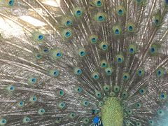 -南京金牛湖风景区