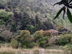 -九龙潭景区