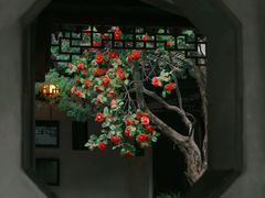 -留园
