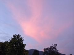 -大姆山草场