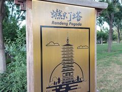 -西海子公园