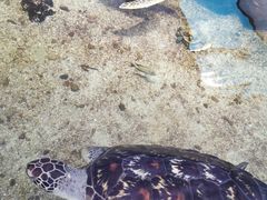 -鸿通城购物中心