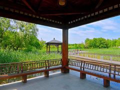 -同里国家湿地公园