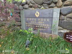 -张家港金凤凰度假村温泉