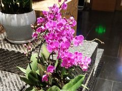 -黔蘑菇四季餐厅(观山湖店)