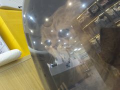 -美联众合动物医院·24h转诊中心
