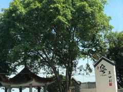 -崖口煲仔饭