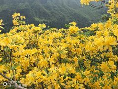 -虹口漂流