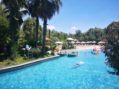 -上海东方佘山翰悦阁酒店·Vie全日制餐厅