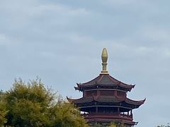 -厦门园林博览苑