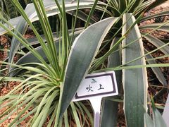 -郑州植物园
