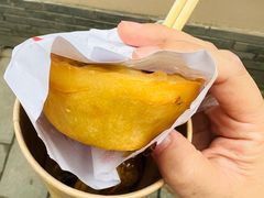 -金山嘴渔村
