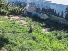 -西霞口神雕山野生动物世界