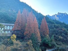-大明山自然探索公园