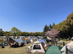 -黄兴公园