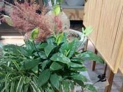 -冰拾叁(新都店)