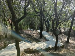 -火炉山森林公园