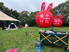 -同里国家湿地公园