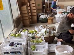 -马陆小张葡萄园农家乐