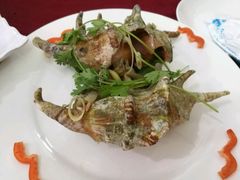 手掌螺-QQ海鲜餐厅