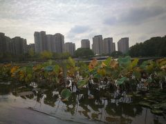-新江湾城公园