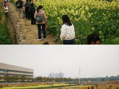 -三圣花乡旅游区