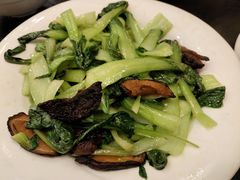 -河畔春天时尚餐厅