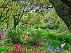 -上海共青森林公园