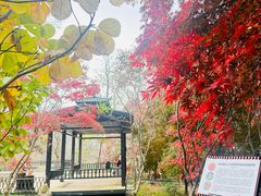 -崂山巨峰游览区