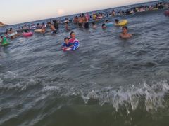 -源海渔村·现捞海鲜(大角湾店)