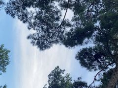 -生态园山庄(森林公园店)