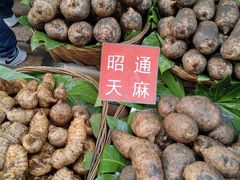 -大观篆新农贸市场
