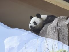 -宁波野生动物园