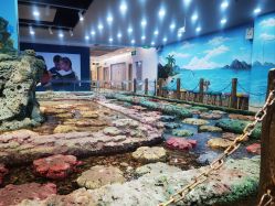 -钓虾工场·钓虾·赶海(回龙观店)