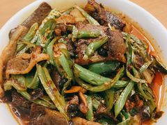 -曾牛肉