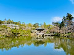 -成田山新胜寺