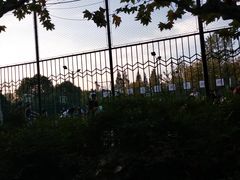 -新江湾城公园
