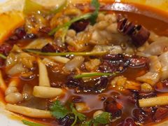 -紫阳富豪大酒店(惠南店)
