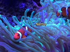 -多彩贵州城极地海洋世界