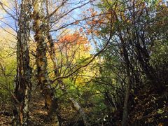 -北京灵山风景区